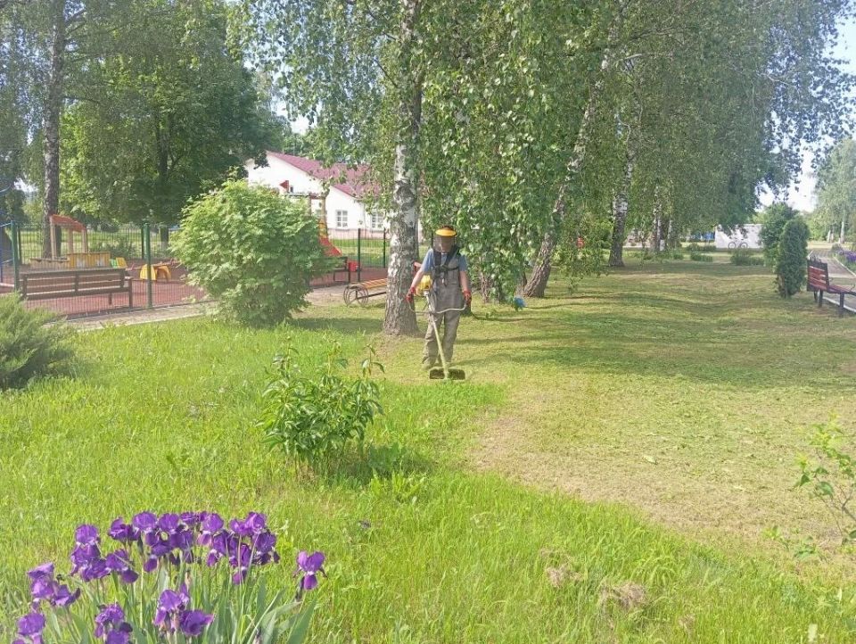 Благодаря труду сотрудников Краснояружского зеленстроя и специалистов территориальных отделов наши общественные пространства преображаются Благодаря труду сотрудников Краснояружского зеленстроя и специалистов территориальных отделов наши общественные пространства преображаются