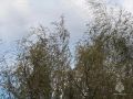 Грозы и сильный ветер ожидаются в Белгородской области 27 мая
