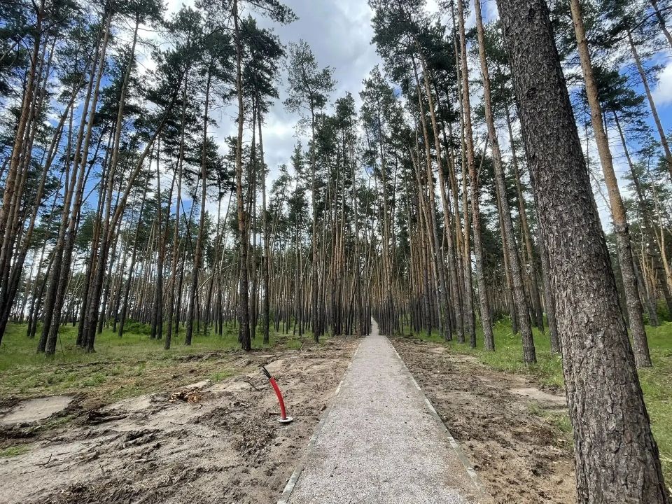 В посёлке Маслова Пристань завершается устройство пешеходной дорожки в лесном массиве Приютовского парка, от улицы Октябрьская В посёлке Маслова Пристань завершается устройство пешеходной дорожки в лесном массиве Приютовского парка, от улицы Октябрьская