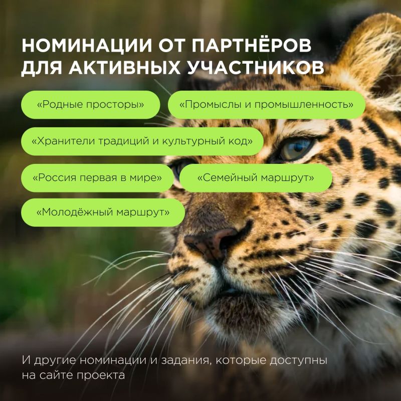 Всероссийский проект «Знать. Любить. Гордиться!» — возможность рассказать о родном крае и отправиться в путешествие по России! Всероссийский проект «Знать. Любить. Гордиться!» — возможность рассказать о родном крае и отправиться в путешествие по России!