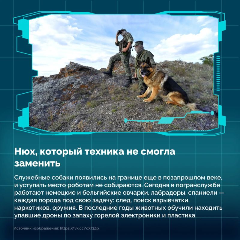 28 мая свой профессиональный праздник отмечают те, кто охраняет рубежи нашей огромной Родины: от Калининграда до Владивостока 28 мая свой профессиональный праздник отмечают те, кто охраняет рубежи нашей огромной Родины: от Калининграда до Владивостока