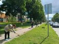 В Ракитянском округе активно преображаются сёла и посёлки