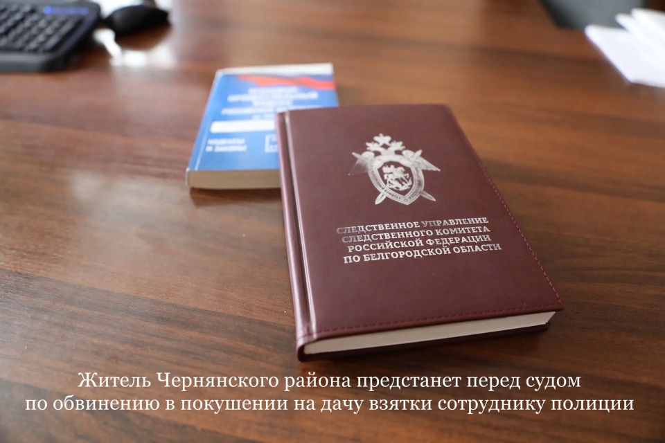 Житель Чернянского района предстанет перед судом по обвинению в покушении на дачу взятки сотруднику полиции
