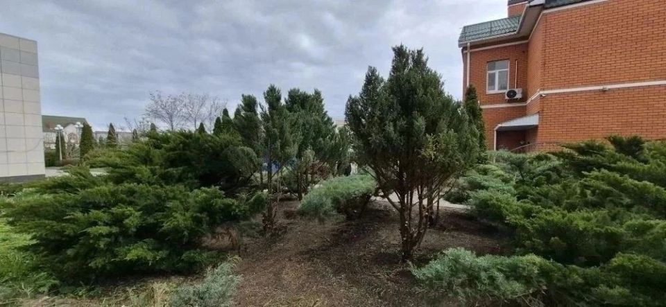 Будущие ландшафтные дизайнеры преобразили центральную площадь Чернянки Будущие ландшафтные дизайнеры преобразили центральную площадь Чернянки