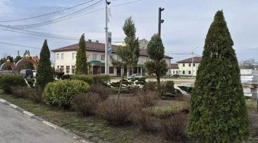Будущие ландшафтные дизайнеры преобразили центральную площадь Чернянки Будущие ландшафтные дизайнеры преобразили центральную площадь Чернянки