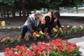 Ежедневно специалисты по озеленению и благоустройству трудятся не покладая рук, чтобы наши улицы и общественные пространства выглядели привлекательно и ухоженно
