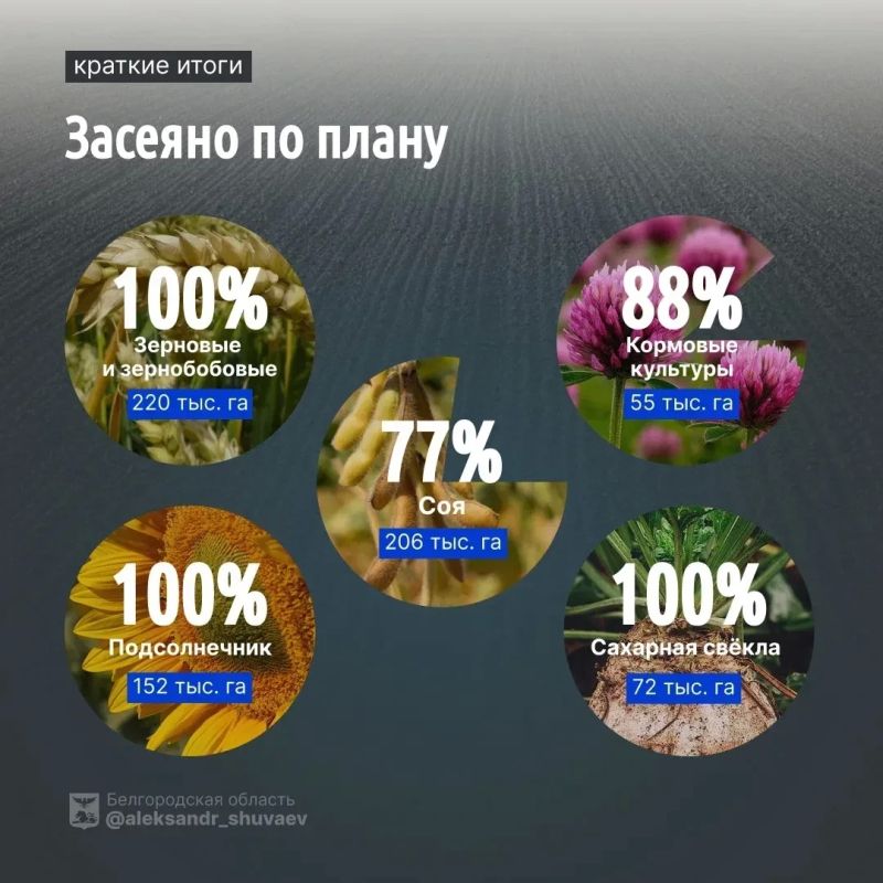 В Белгородской области завершается весенний сев В Белгородской области завершается весенний сев