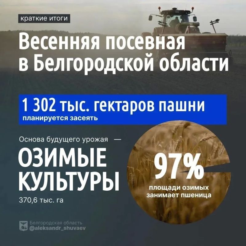 В Белгородской области завершается весенний сев