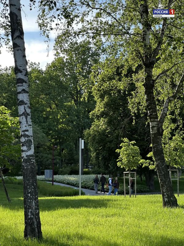Без пяти минут лето в парке Ленина этим вечером Без пяти минут лето в парке Ленина этим вечером