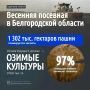 В Белгородской области завершается весенний сев