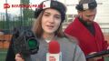 Белгородскому фиджитал-центру исполнился год