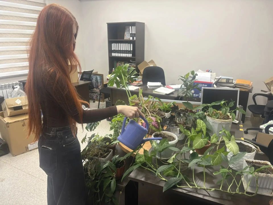 В нашем округе стартовала традиционная летняя программа трудоустройства подростков, реализуемая в рамках национального проекта «Кадры» В нашем округе стартовала традиционная летняя программа трудоустройства подростков, реализуемая в рамках национального проекта «Кадры»