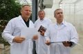 Глава администрации Старооскольского городского округа Михаил Лобазнов с рабочим визитом посетил современный тепличный комплекс ООО «Гринхаус»