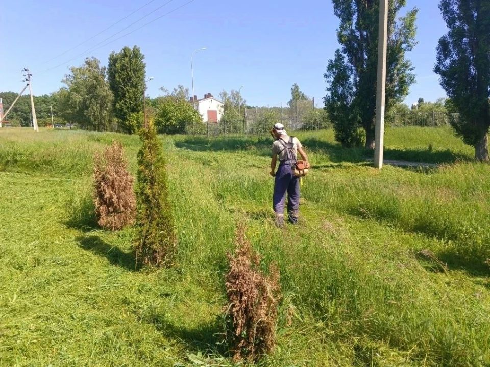 Татьяна Круглякова: Продолжаем приводить улицы и общественные пространства Белгородского округа в порядок Татьяна Круглякова: Продолжаем приводить улицы и общественные пространства Белгородского округа в порядок