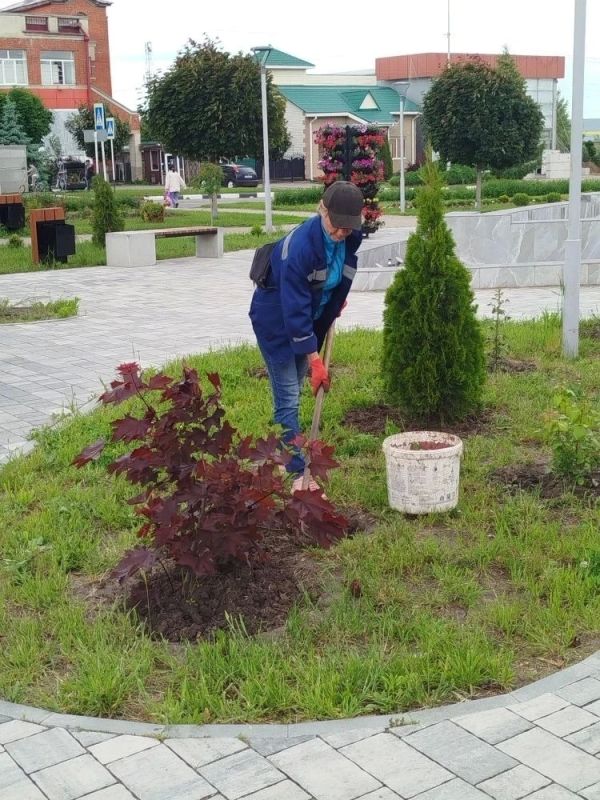 В рамках наведения санитарного порядка на территории нашего округа активно ведутся работы по благоустройству В рамках наведения санитарного порядка на территории нашего округа активно ведутся работы по благоустройству