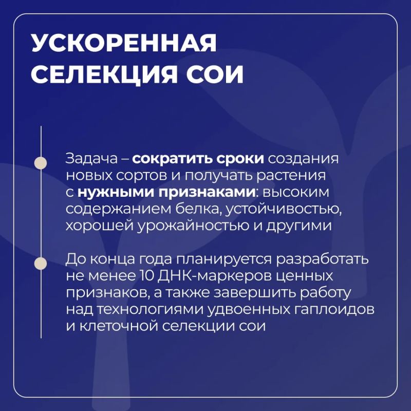 Белгородский ГАУ развивает селекцию и семеноводство сои в рамках «Приоритет-2030» Белгородский ГАУ развивает селекцию и семеноводство сои в рамках «Приоритет-2030»