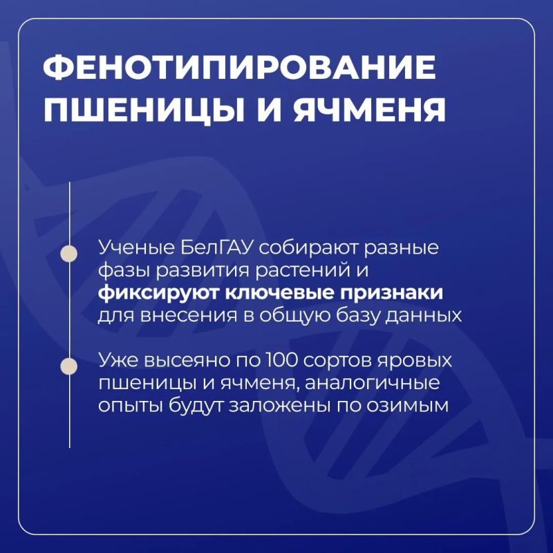Белгородский ГАУ развивает селекцию и семеноводство сои в рамках «Приоритет-2030» Белгородский ГАУ развивает селекцию и семеноводство сои в рамках «Приоритет-2030»