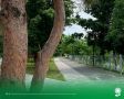 8 июня.
.
Температура воздуха 25°C, переменная облачность, без осадков