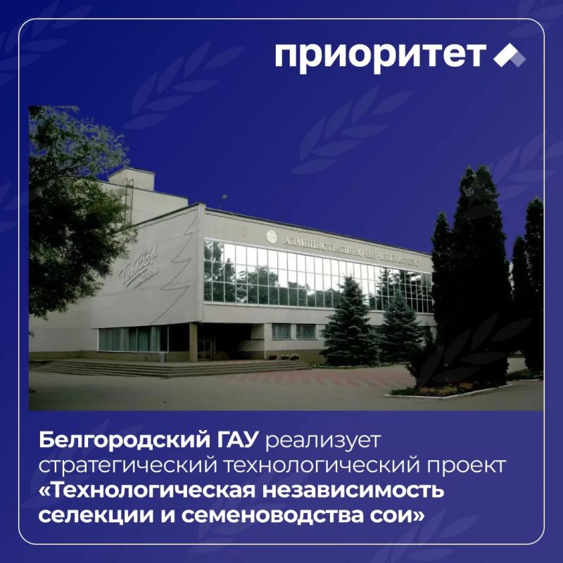 Белгородский ГАУ развивает селекцию и семеноводство сои в рамках «Приоритет-2030»