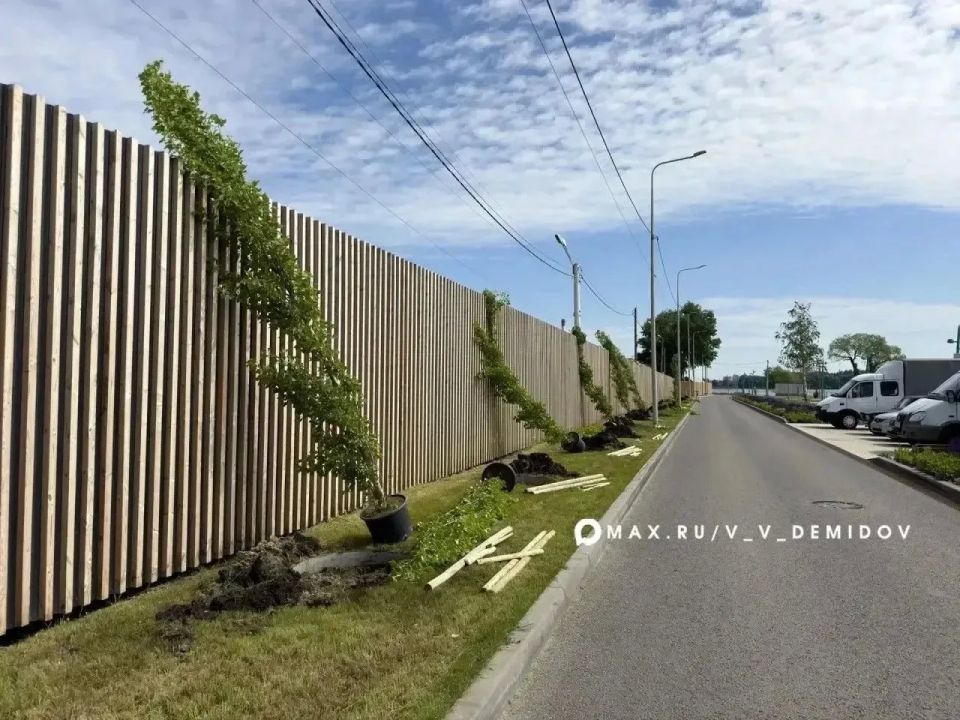 В Белгороде продолжается работа по обновлению зелёного фонда В Белгороде продолжается работа по обновлению зелёного фонда