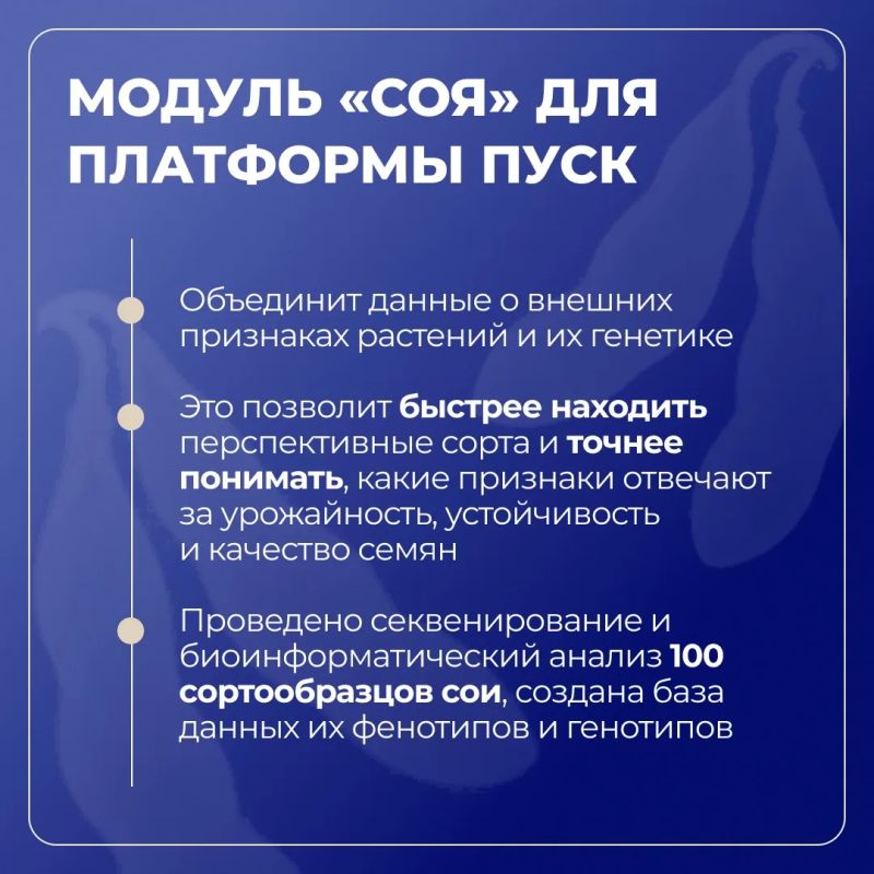 Белгородский ГАУ развивает селекцию и семеноводство сои в рамках «Приоритет-2030» Белгородский ГАУ развивает селекцию и семеноводство сои в рамках «Приоритет-2030»
