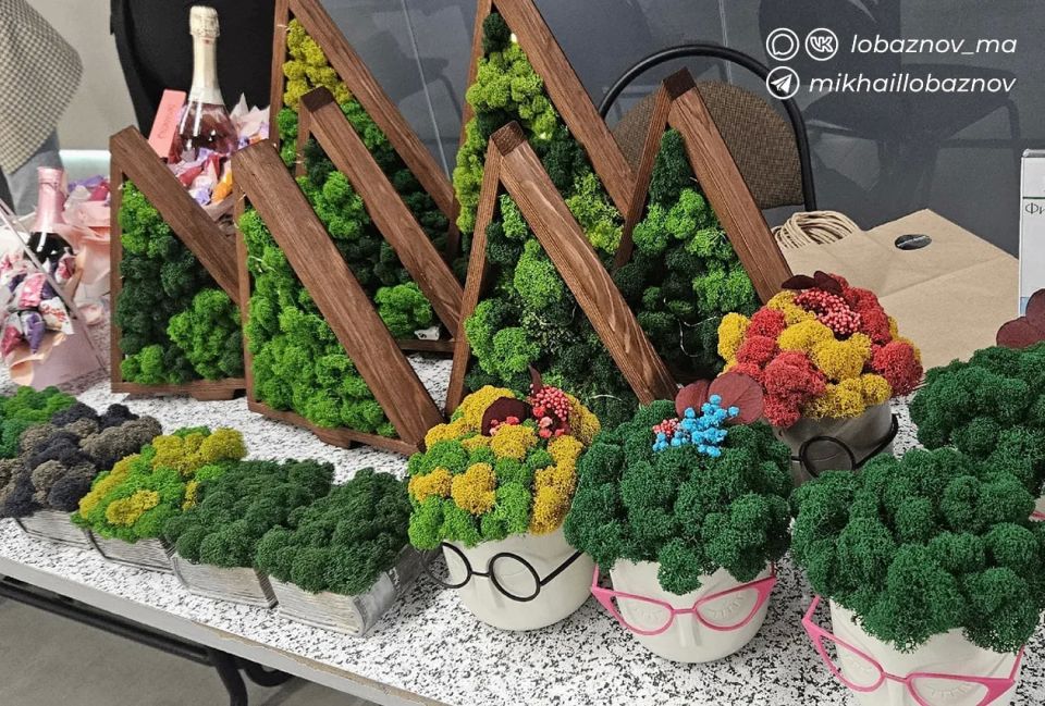 Оскольчанка открыла мастерскую по созданию декора из стабилизированного мха благодаря соцконтракту Оскольчанка открыла мастерскую по созданию декора из стабилизированного мха благодаря соцконтракту