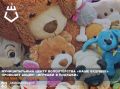 Муниципальный центр волонтёрства «Наше будущее» имени Героя Советского Союза генерала Ватутина Н.Ф. проводит акцию «Игрушки в подушки» с 14 мая по 1 сентября