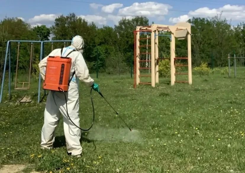 Татьяна Круглякова: В Белгородском муниципальном округе завершена акарицидная обработка территории Татьяна Круглякова: В Белгородском муниципальном округе завершена акарицидная обработка территории