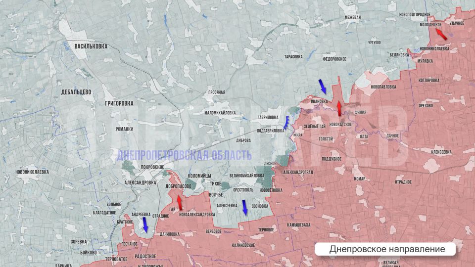 Олег Царёв: Фронтовая сводка. Фронтовая сводка 9 июня Олег Царёв: Фронтовая сводка. Фронтовая сводка 9 июня