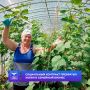 Социальный контракт превратил хобби в семейный бизнес