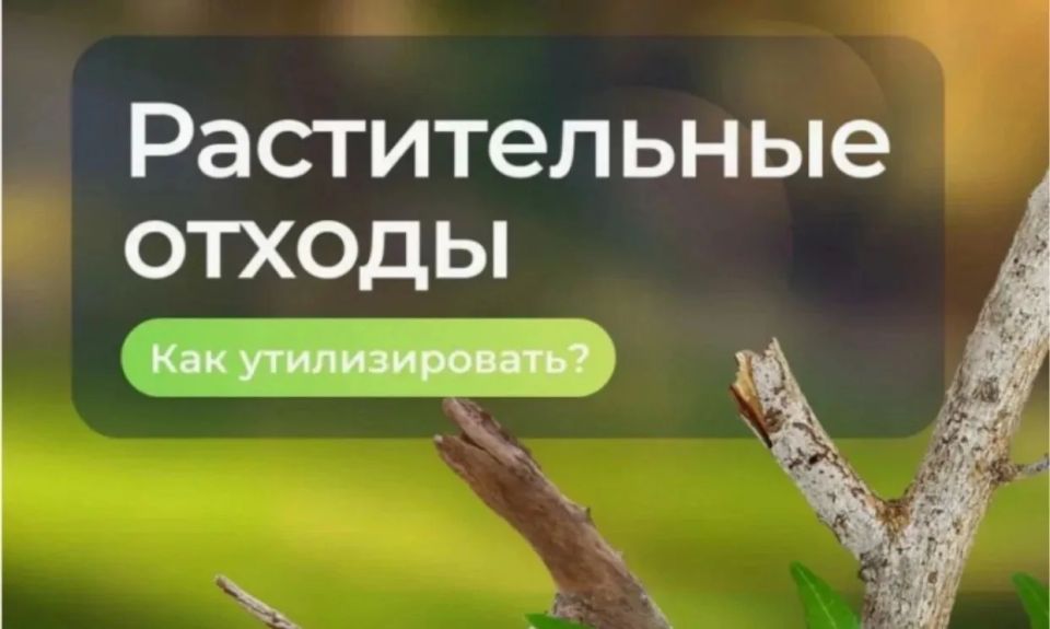 С наступлением летнего сезона жители Алексеевского округа активно приводят в порядок свои придомовые и дачные участки