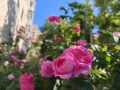 Сегодня, 9 июня, нас ждёт переменная облачность