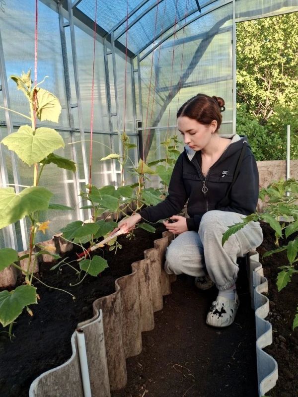 Дорогие друзья, делимся с вами историей нашей жительницы, которая воспользовалась социальным контрактом Дорогие друзья, делимся с вами историей нашей жительницы, которая воспользовалась социальным контрактом