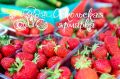 Фермерская ярмарка в Старом Осколе!
