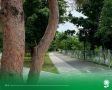 12 июня. Температура воздуха 20°C, облачно, кратковременные дожди