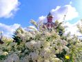 Юрий Клепиков: 35 лет силы, труда и верности родному краю: Краснояружский округ сегодня отмечает годовщину со дня образования