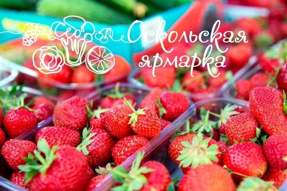 Фермерская ярмарка в Старом Осколе!