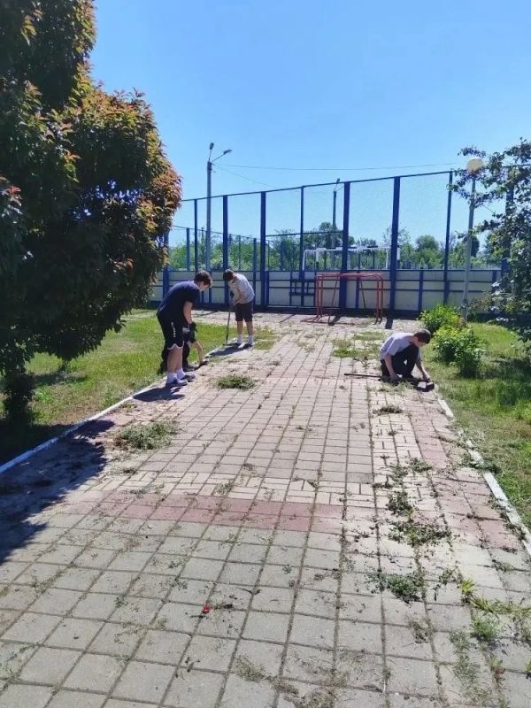 В Вейделевском округе стартовала традиционная летняя программа трудоустройства подростков В Вейделевском округе стартовала традиционная летняя программа трудоустройства подростков