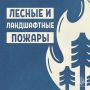МЧС России напоминает: не сжигай сухую траву