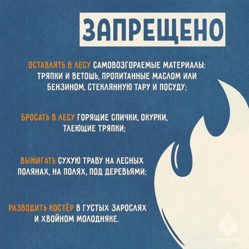 МЧС России напоминает: не сжигай сухую траву МЧС России напоминает: не сжигай сухую траву