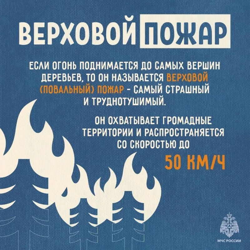 МЧС России напоминает: не сжигай сухую траву МЧС России напоминает: не сжигай сухую траву