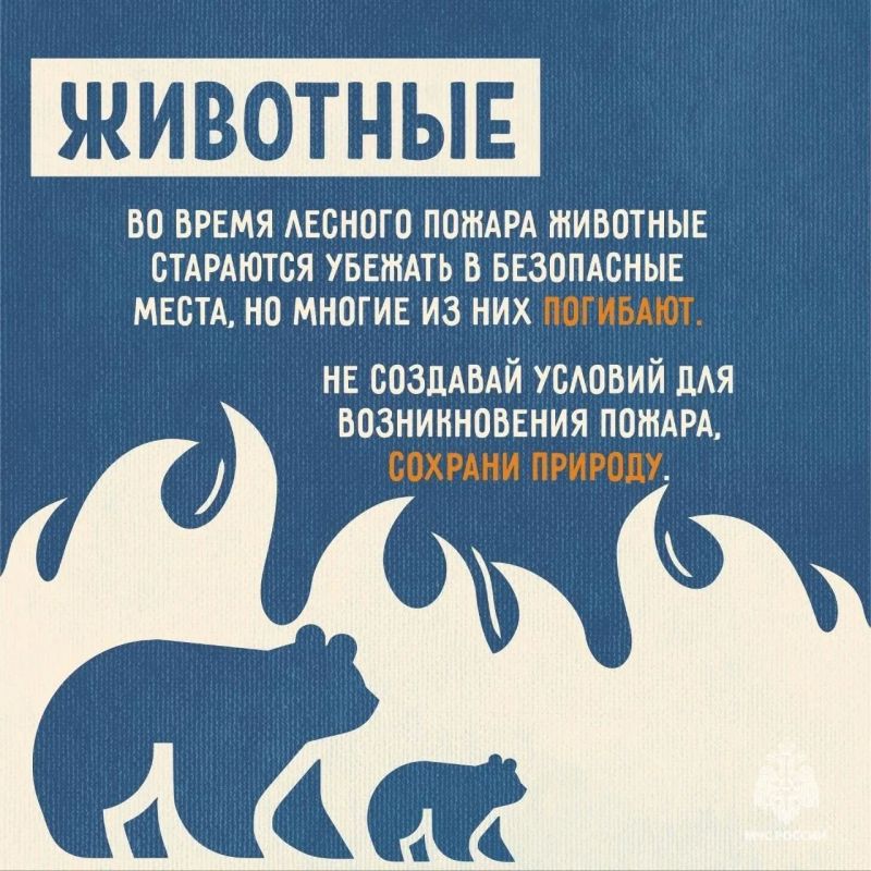 МЧС России напоминает: не сжигай сухую траву МЧС России напоминает: не сжигай сухую траву