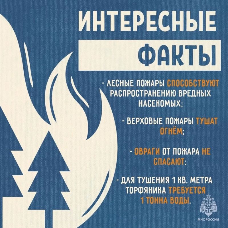 МЧС России напоминает: не сжигай сухую траву МЧС России напоминает: не сжигай сухую траву