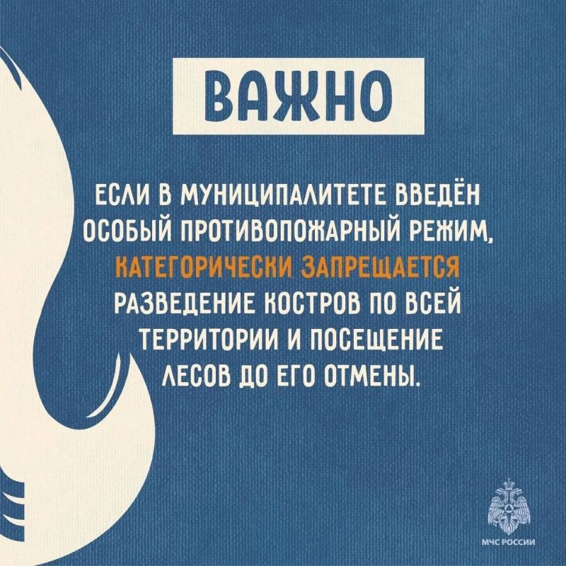 МЧС России напоминает: не сжигай сухую траву МЧС России напоминает: не сжигай сухую траву