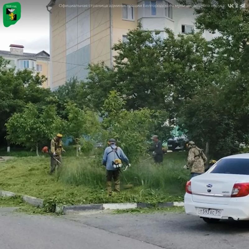 Наведение санитарного порядка на территории Белгородского муниципального округа не прекращается Наведение санитарного порядка на территории Белгородского муниципального округа не прекращается