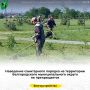 Наведение санитарного порядка на территории Белгородского муниципального округа не прекращается
