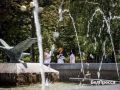«Каждый должен помнить историю»