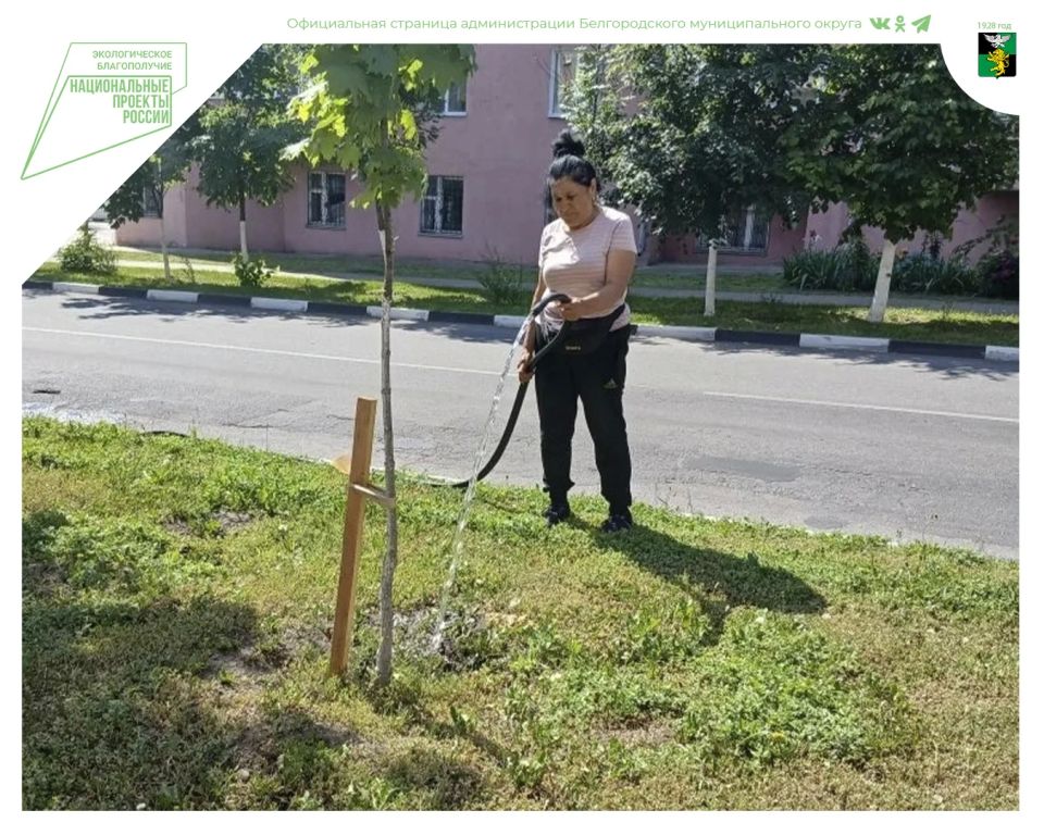 Продолжаем озеленять и преображать наш округ Продолжаем озеленять и преображать наш округ