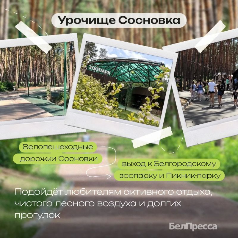 Белгород умеет удивлять своими контрастами Белгород умеет удивлять своими контрастами