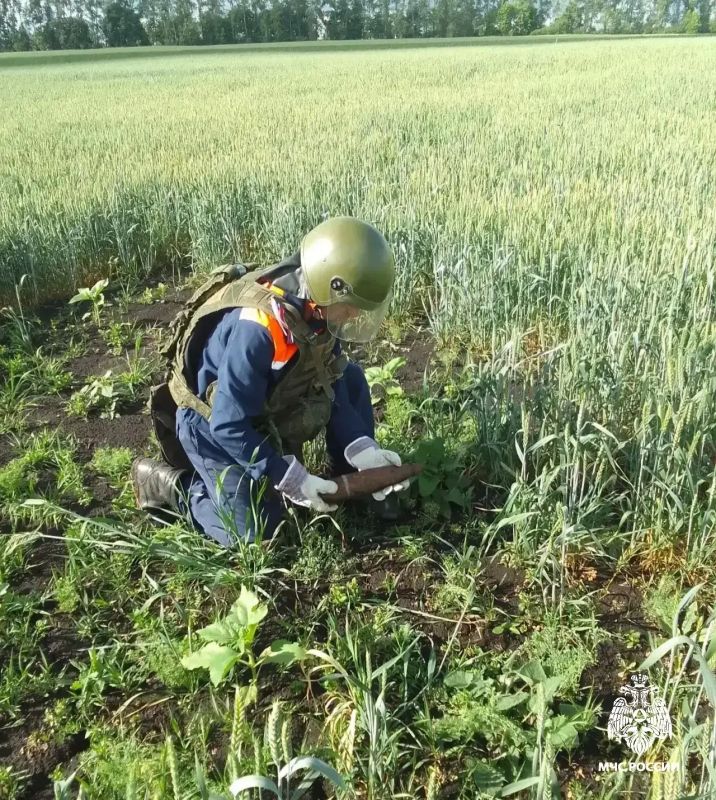 За прошедшие сутки на территории региона зарегистрирован 1 пожар За прошедшие сутки на территории региона зарегистрирован 1 пожар